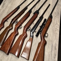 Zes Diana luchtbuksen