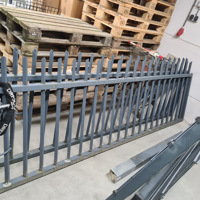 dubbele poort met schade circa 6m