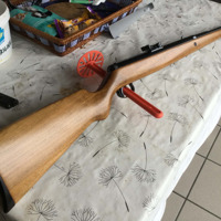 diana 50 4.5 in zeer goede staat