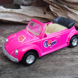 Leuk schaalmodel rose vw kever.