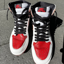 Nike Air Jordan 1 Heritage 