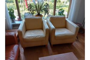 Fauteuils leer