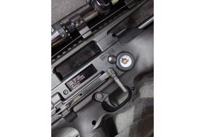 Walther Reign M2 pcp bullpup en veel accessoires