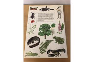 Natuurboeken en tuinboeken diversen. Dier , tuin en natuur