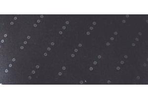 Fijngebreid shirt - trui , zwart, 1 maat (38/42) nieuw