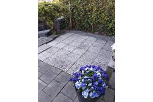 36 grindtegels 30 bij 30 en stoeptegels  liggen nog in tuin wel zelf eruit halen