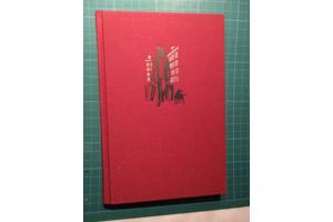 Marnix Gijsen  -  Er gebeurd nooit iets