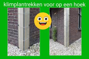 AARDBEIEN TOREN KLIMPLANTENREK etagère