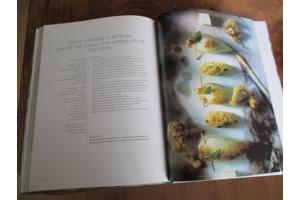 Marc Declercq  -  Vis en Wijn