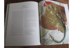 Marc Declercq  -  Vis en Wijn