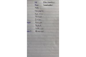 Strijkplank 75 cm met hoes