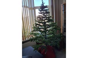 Kerstboom over.