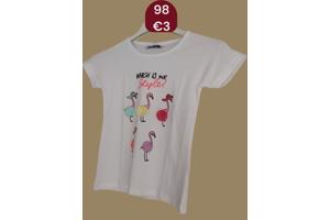 Glo-Story t-shirt flamingo's wit 98