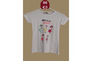 Glo-Story t-shirt flamingo's wit 98