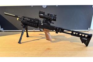 Artemis Pp800 .22 Tactical