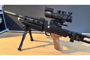 Artemis Pp800 .22 Tactical