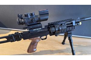 Artemis Pp800 .22 Tactical