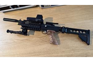 Artemis Pp800 .22 Tactical