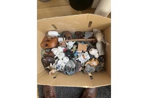 Olifanten en schelpen