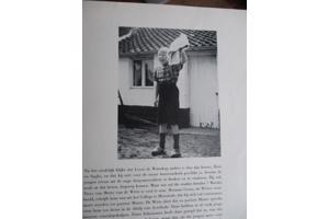 Maurits Balfoort  -  Wij Heren van Zichem