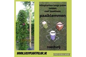 Decoratieve Plantensteunen voor op terras en balkon