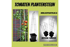 Decoratieve Plantensteunen voor op terras en balkon