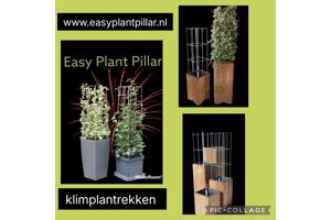 Decoratieve Plantensteunen voor op terras en balkon