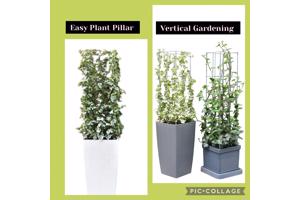 Decoratieve Plantensteunen voor op terras en balkon