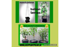 Decoratieve Plantensteunen voor op terras en balkon
