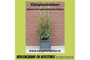 Decoratieve Plantensteunen voor op terras en balkon