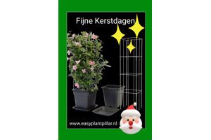 Decoratieve Plantensteunen voor op terras en balkon