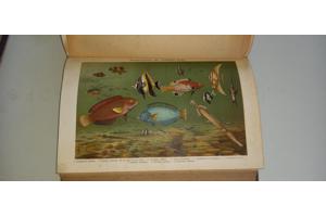 Winkler prins encyclopedie 16 delig