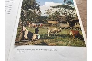 Boek v.THAILAND & SIAM EEN BELEVENIS om te reizen