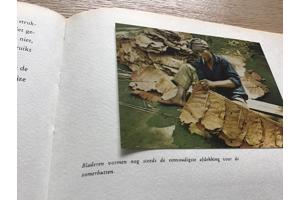 Boek v.THAILAND & SIAM EEN BELEVENIS om te reizen