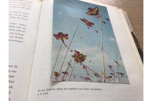 Boek v.THAILAND & SIAM EEN BELEVENIS om te reizen