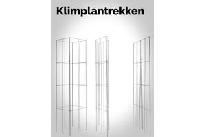 KLIMPLANTREK plantenrek plantrek plantrekken plantenrekken