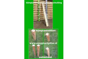 KLIMPLANTREK plantenrek plantrek plantrekken plantenrekken