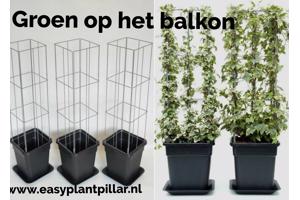 KLIMPLANTREK plantenrek plantrek plantrekken plantenrekken