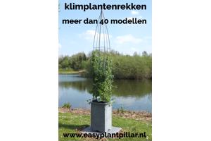 KLIMPLANTREK plantenrek plantrek plantrekken plantenrekken