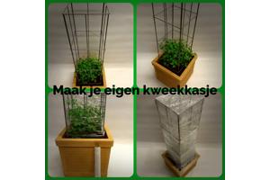 KLIMPLANTREK plantenrek plantrek plantrekken plantenrekken