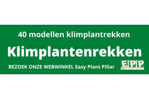 KLIMPLANTREK plantenrek plantrek plantrekken plantenrekken