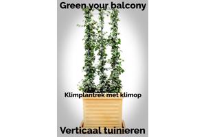 KLIMPLANTREK plantenrek plantrek plantrekken plantenrekken