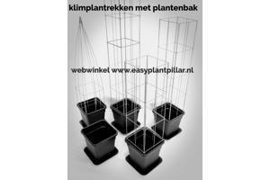 KLIMPLANTREK plantenrek plantrek plantrekken plantenrekken