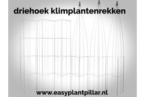 KLIMPLANTREK plantenrek plantrek plantrekken plantenrekken