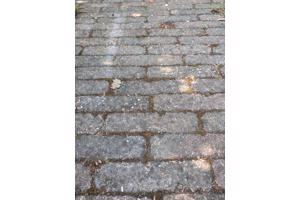 Betonklinkers (±18 m²) – zelf verwijderen