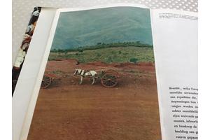 Boek van Braziliè prachtig land om te reizen de moeite waard