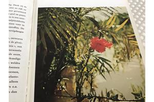 Boek van Braziliè prachtig land om te reizen de moeite waard