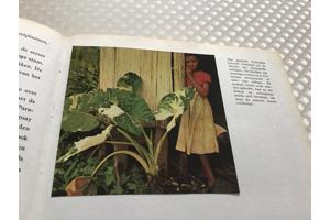 Boek van Braziliè prachtig land om te reizen de moeite waard