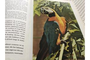 Boek van Braziliè prachtig land om te reizen de moeite waard