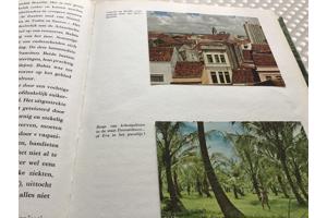 Boek van Braziliè prachtig land om te reizen de moeite waard